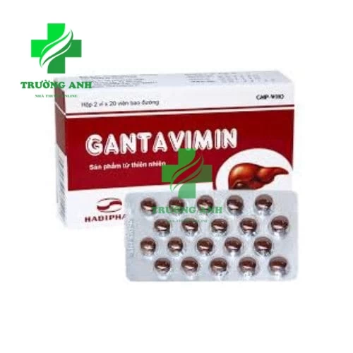 Gantavimin - Thuốc điều trị viêm gan siêu vi B, dị ứng do gan